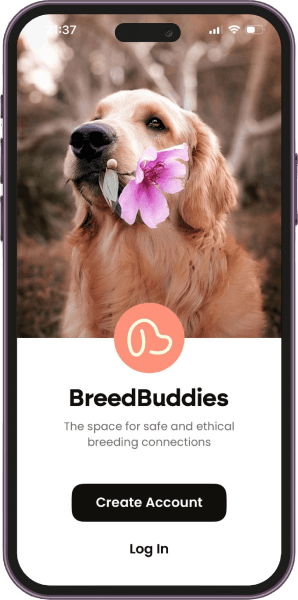 BreedBuddies App login screen showing a golden retriever holding a pink flower in its mouth, with options to 'Create Account' or 'Log In' below