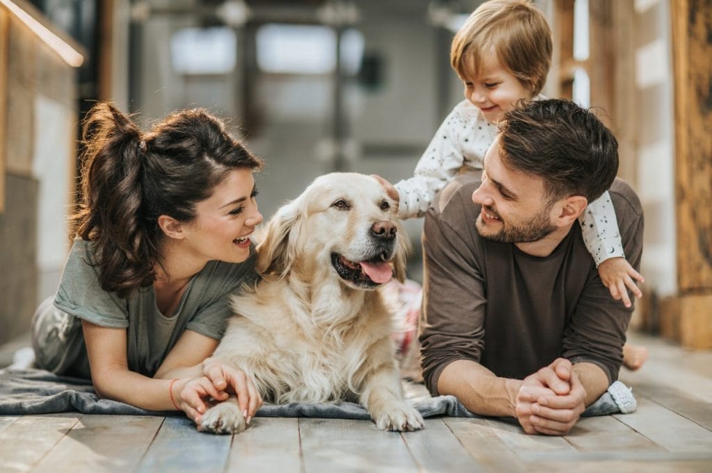 Happy family with a young child and a golden retriever lying on the floor, smiling and bonding together