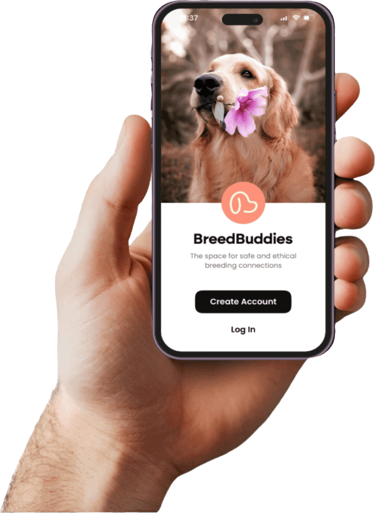 Person holding a smartphone displaying the BreedBuddies App login screen