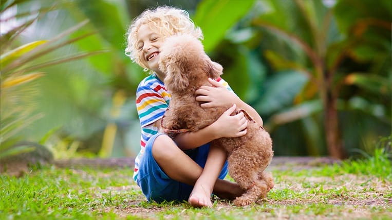 A joyful child and a happy dog playing together in a field, symbolising a lasting bond of love and companionship