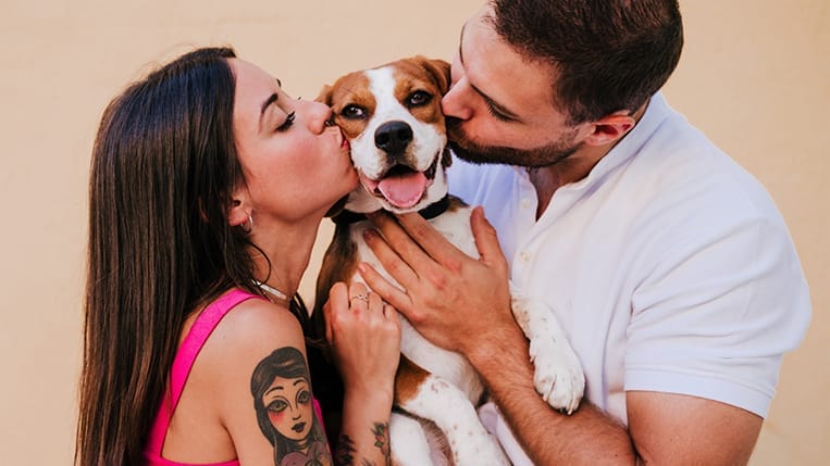 A joyful couple kissing their happy Beagle dog, showing love and affection
