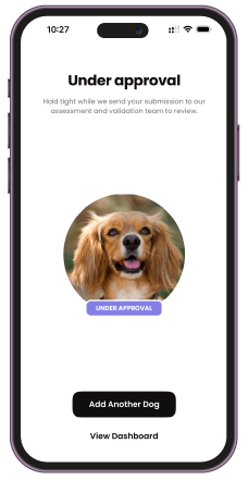 BreedBuddies App screen showing a Cavalier King Charles Spaniel with a status label 'Under Approval' and options to 'Add Another Dog' or 'View Dashboard' below
