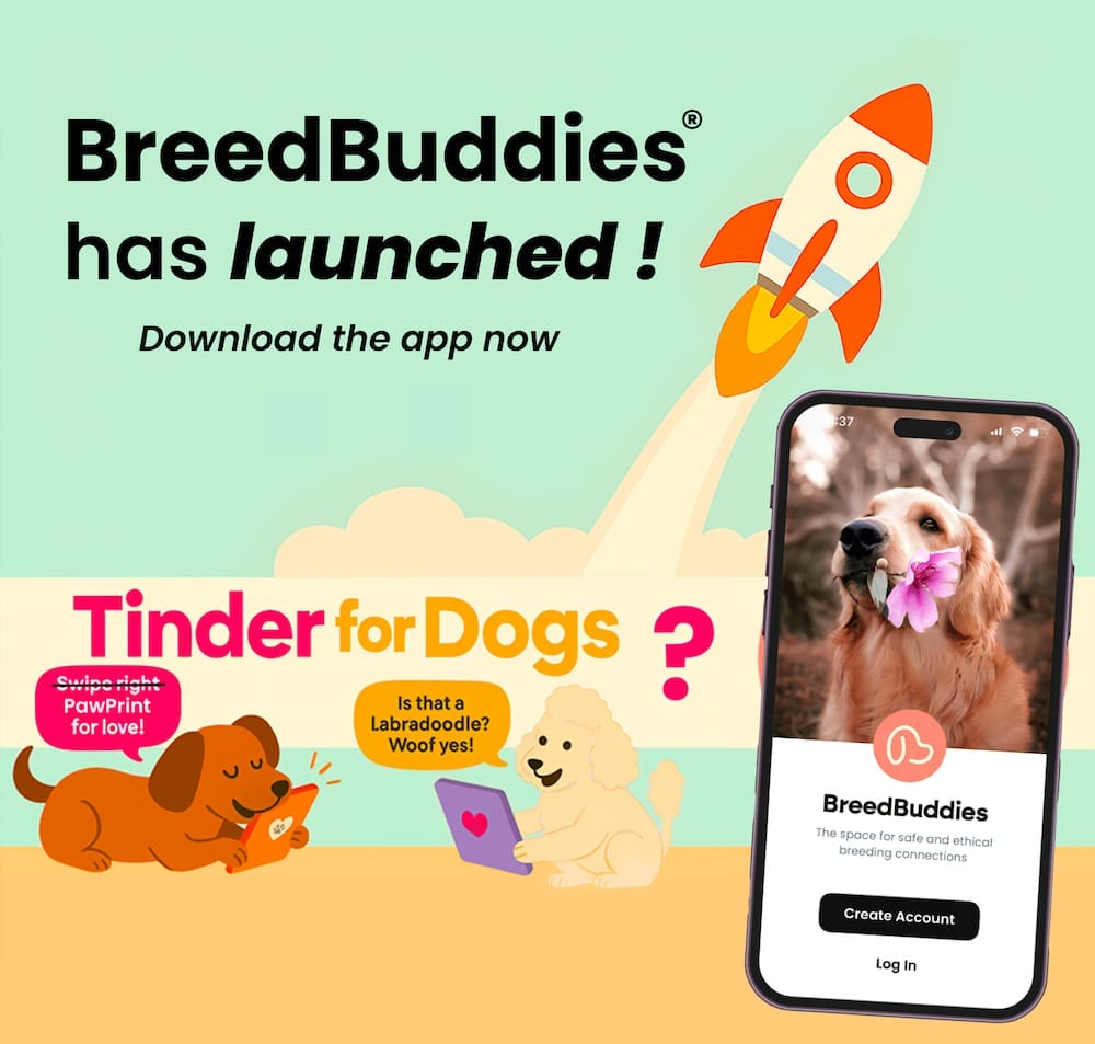 BreedBuddies has launched! Download the app now