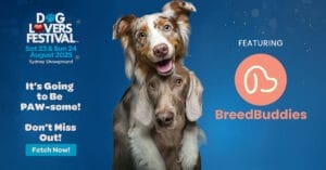 Sydney Dog Lover Festival- August 2025