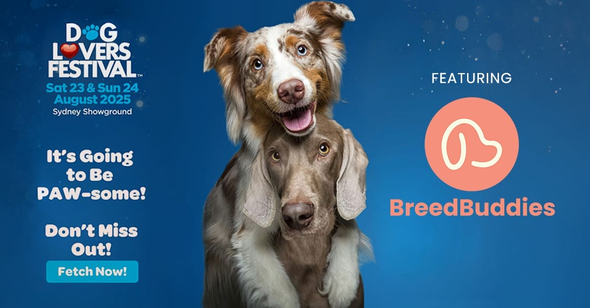 Sydney Dog Lover Festival- August 2025