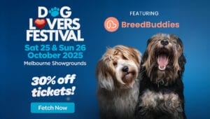 BreedBuddies Dog Lovers Festival Melbourne