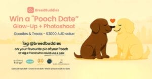 Win a "Pooch Date" Glow-Up + Photoshoot